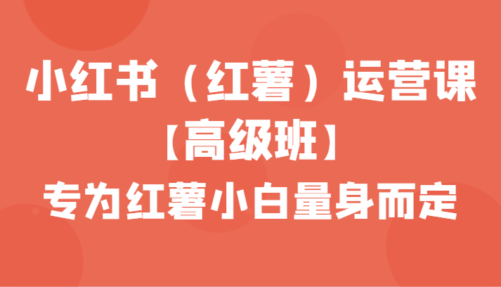 小红书（红薯）运营课【高级班】，专为红薯小白量身而定（42节课）-<a href=