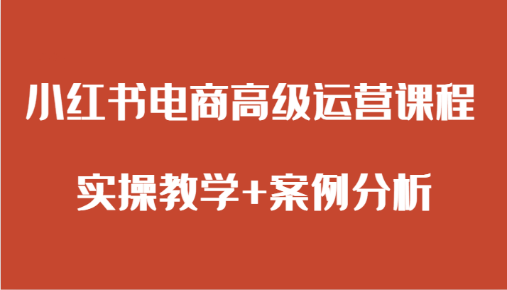 小红书电商高级运营课程 实操教学+案例分析-<a href=