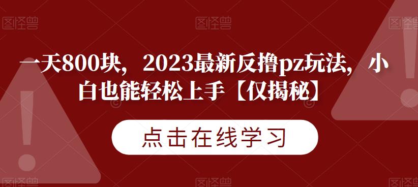 一天800块，2023最新反撸pz玩法，小白也能轻松上手【仅揭秘】-<a href=