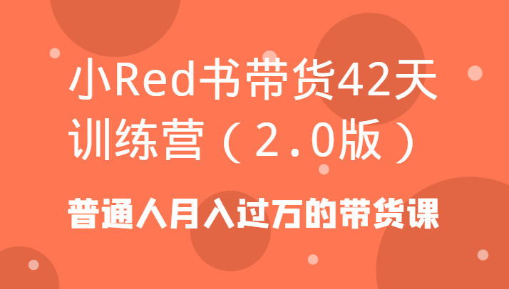 小Red书带货42天训练营（2.0版）普通人月入过万的带货课-<a href=