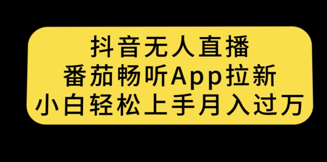 南掌柜-第17期打造淘系标品大爆款，5天线上课-<a href=
