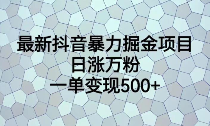 最新抖音暴力掘金项目，日涨万粉，一单变现500+【揭秘】-<a href=