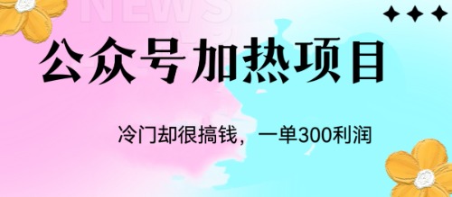 （6916期）冷门公众号加热项目，一单利润300+-<a href=
