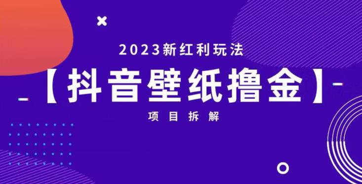 抖音壁纸小程序创作者撸金项目，2023新红利玩法【项目拆解】-<a href=