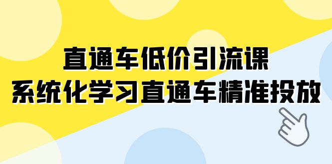 直通车-低价引流课，系统化学习直通车精准投放（14节课）-<a href=