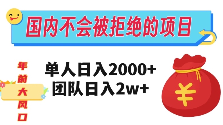 在国内不怕被拒绝的项目，单人日入2000，团队日入20000+【揭秘】-<a href=
