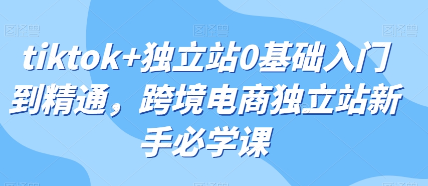 tiktok+独立站0基础入门到精通，跨境电商独立站新手必学课-<a href=