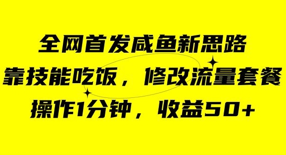 咸鱼冷门新玩法，靠“技能吃饭”，修改流量套餐，操作1分钟，收益50【揭秘】-<a href=