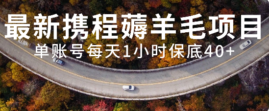 （7995期）最新携程薅羊毛项目，单账号每天1小时保底收益40+，可矩阵操作-<a href=