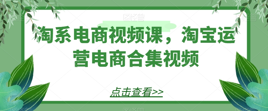 淘系电商视频课，淘宝运营电商合集视频-<a href=