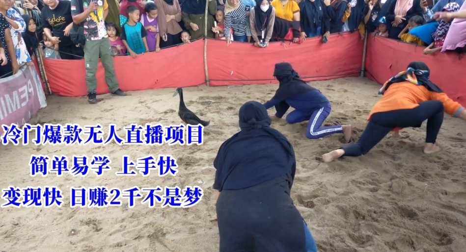 冷门爆款无人直播项目，简单易学上手快，变现快日赚2千不是梦-<a href=