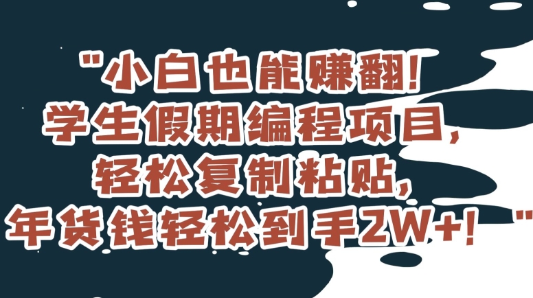 小白也能赚翻！学生假期编程项目，轻松复制粘贴，年货钱轻松到手2W+【揭秘】-<a href=