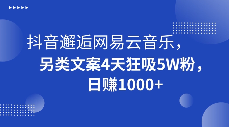 抖音邂逅网易云音乐，另类文案4天狂吸5W粉，日赚1000+【揭秘】-<a href=