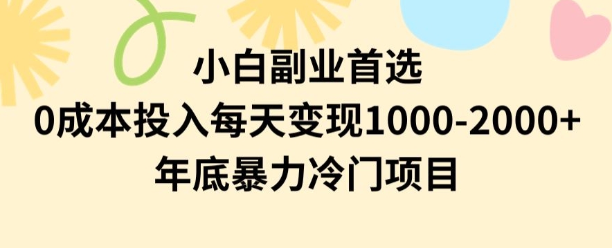 小白副业首选，0成本投入，每天变现1000-2000年底暴力冷门项目【揭秘】-<a href=