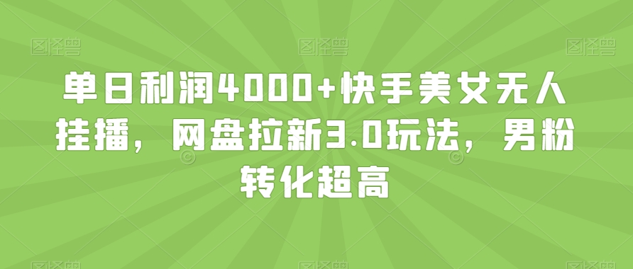 单日利润4000+快手美女无人挂播，网盘拉新3.0玩法，男粉转化超高【揭秘】-<a href=