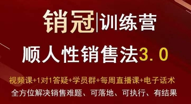 爆款！销冠训练营3.0之顺人性销售法，全方位解决销售难题、可落地、可执行、有结果-<a href=