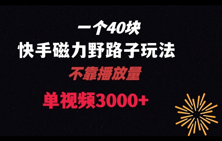一个40块，快手联合美团磁力新玩法，无视机制野路子玩法，单视频收益4位数【揭秘】-<a href=