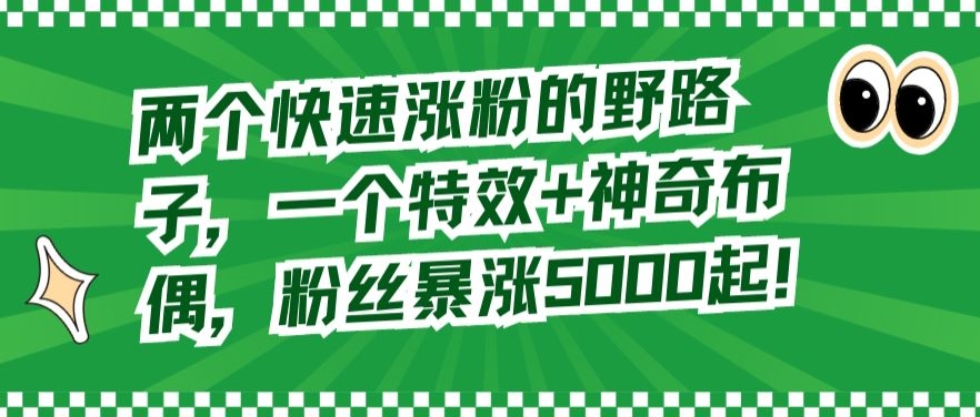 两个快速涨粉的野路子，一个特效+神奇布偶，粉丝暴涨5000起-<a href=
