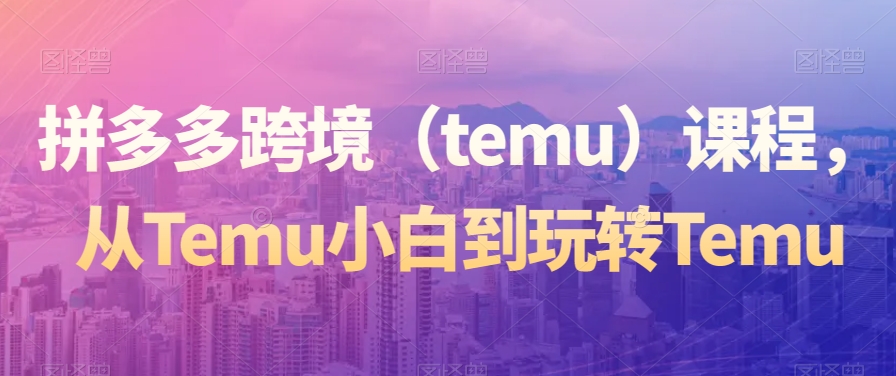 拼多多跨境（temu）课程，从Temu小白到玩转Temu-<a href=