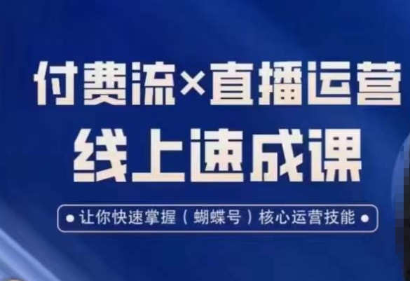 视频号付费流实操课程，付费流✖️直播运营速成课，让你快速掌握视频号核心运营技能-<a href=