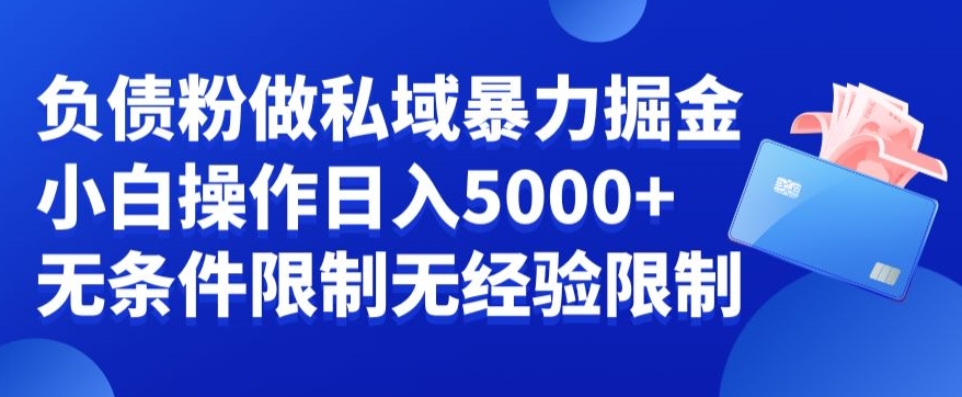 负债粉私域暴力掘金，小白操作入5000，无经验限制，无条件限制-<a href=