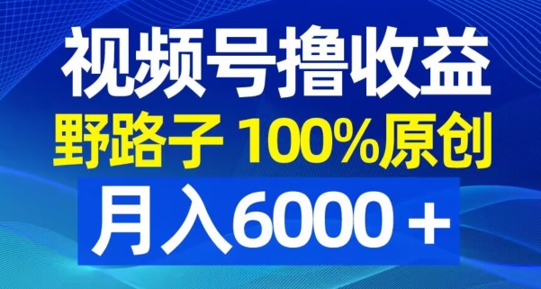视频号野路子撸收益，100%原创，条条爆款，月入6000＋-<a href=