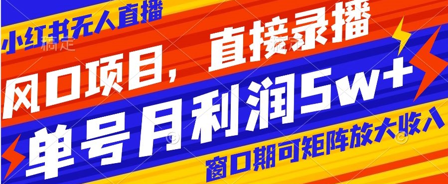 风口项目，小红书无人直播带货，直接录播，可矩阵，月入5w+【揭秘】-<a href=