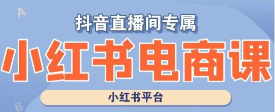 小红书电商高级运营课程，实操教学+案例分析-<a href=