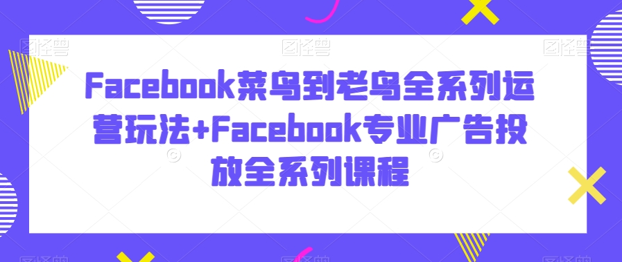 Facebook菜鸟到老鸟全系列运营玩法+Facebook专业广告投放全系列课程-<a href=
