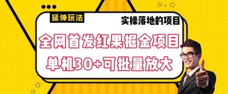 全网首发红果免费短剧掘金项目，单机30+可批量放大【揭秘】-<a href=