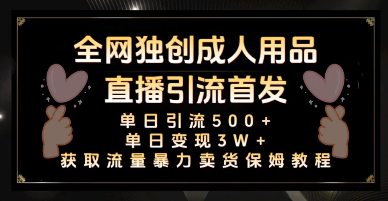 全网独创真人主播+无人直播单日引流500+，橙人用品暴力卖货单日变现3W+保姆似教学2.0【揭秘】-<a href=