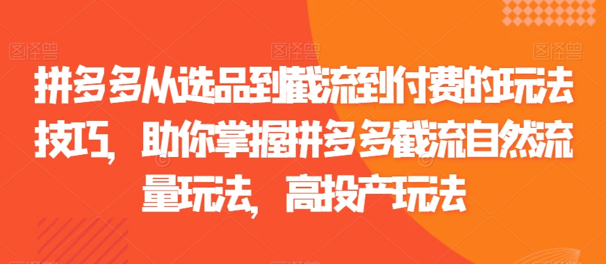 拼多多从选品到截流到付费的玩法技巧，助你掌握拼多多截流自然流量玩法，高投产玩法-<a href=