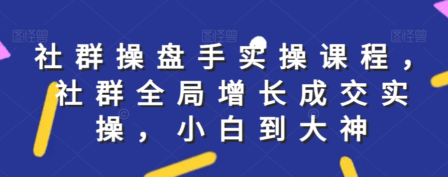 社群实操课程，社群全局增长成交实操，小白到大神-<a href=