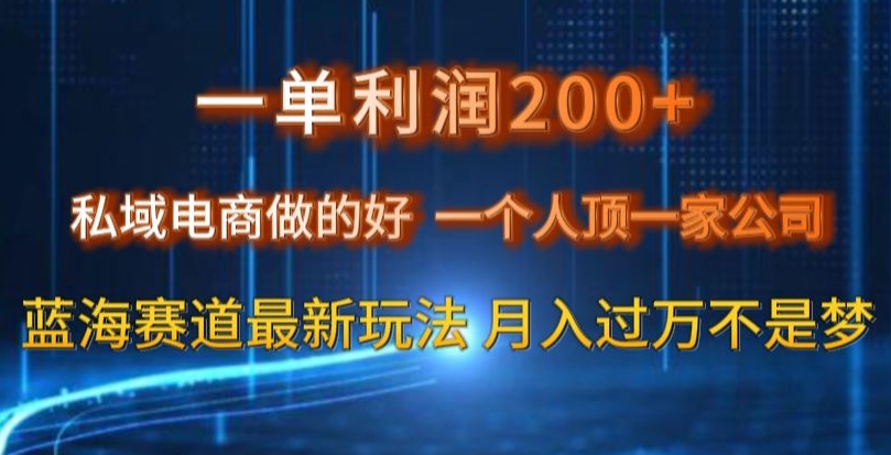 一单利润200私域电商做的好，一个人顶一家公司蓝海赛道最新玩法【揭秘】-<a href=