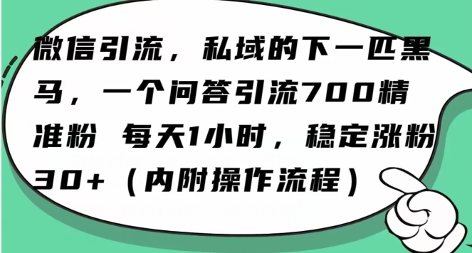 怎么搞精准创业粉？微信新赛道，每天一小时，利用Ai一个问答日引100精准粉-<a href=