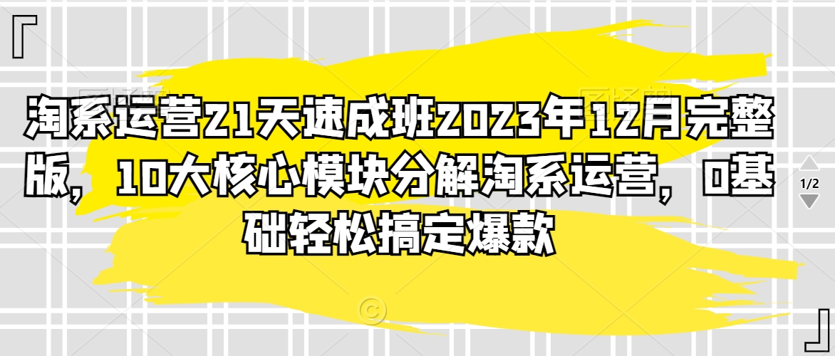 淘系运营21天速成班2023年12月完整版，10大核心模块分解淘系运营，0基础轻松搞定爆款-<a href=