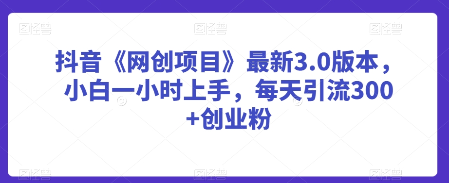 抖音《网创项目》最新3.0版本，小白一小时上手，每天引流300+创业粉-<a href=