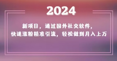 2024新项目，通过国外社交软件，快速涨粉精准引流，轻松做到月入上万【揭秘】-<a href=