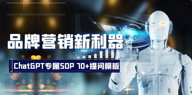 （8402期）品牌营销新利器：ChatGPT专属SOP，70+提问模板-<a href=