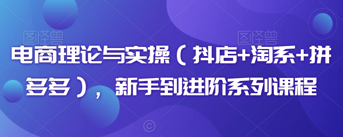 电商理论与实操（抖店+淘系+拼多多），新手到进阶系列课程-<a href=