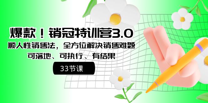 （8573期）爆款！销冠特训营3.0之顺人性销售法，全方位解决销售难题、可落地、可执…-<a href=
