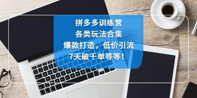 （4693期）拼多多训练营：各玩法合集，爆款打造，低价引流，7天破千单等等！-<a href=