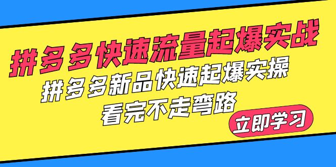 （6253期）拼多多-快速流量起爆实战，拼多多新品快速起爆实操，看完不走弯路-<a href=