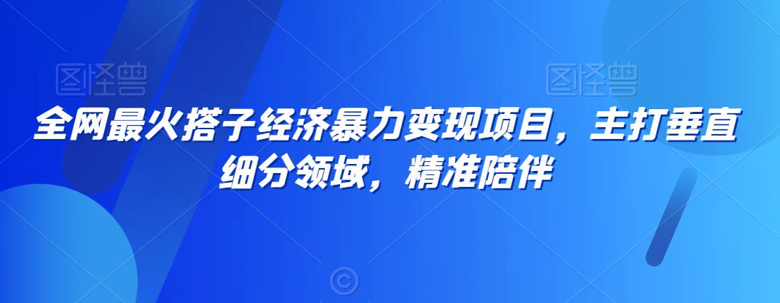 全网最火搭子经济暴力变现项目，主打垂直细分领域，精准陪伴-<a href=