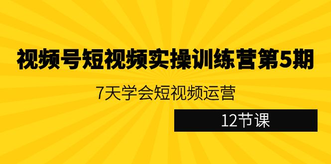 视频号短视频实操训练营第5期：7天学会短视频运营（12节课）-<a href=