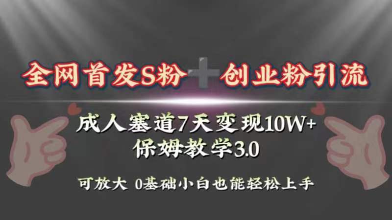 （8337期）全网首发s粉加创业粉引流变现，成人用品赛道7天变现10w+保姆教学3.0-<a href=