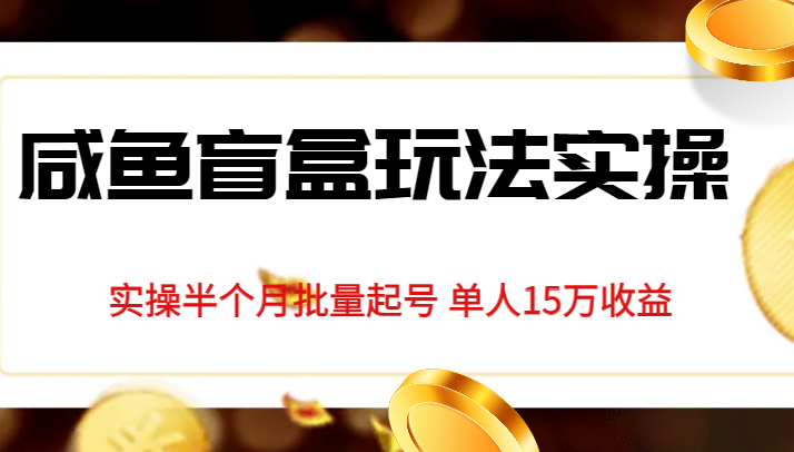 独家首发咸鱼盲盒玩法实操，半个月批量起号单人15万收益揭秘-<a href=