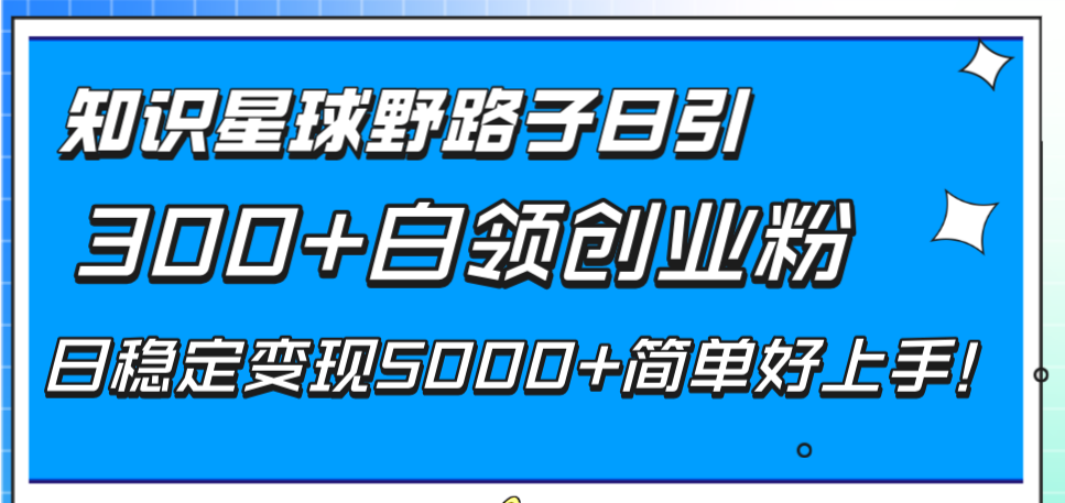 （8315期）知识星球野路子日引300+白领创业粉，日稳定变现5000+简单好上手！-<a href=