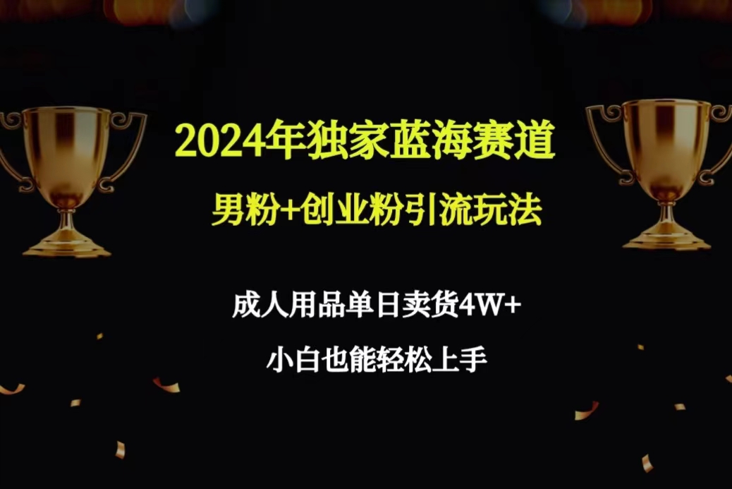 （9111期）2024年独家蓝海赛道男粉+创业粉引流玩法，成人用品单日卖货4W+保姆教程-<a href=