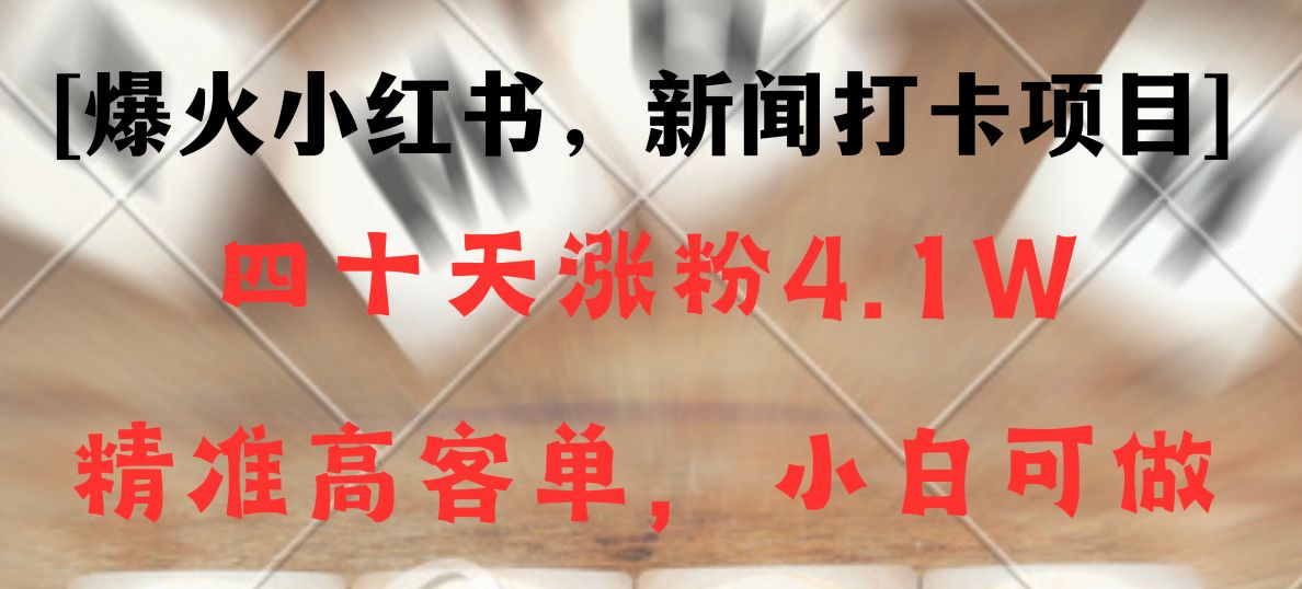 新闻打卡项目，小红书40天涨粉4.1w，高客单精准粉，变现能力超强-<a href=